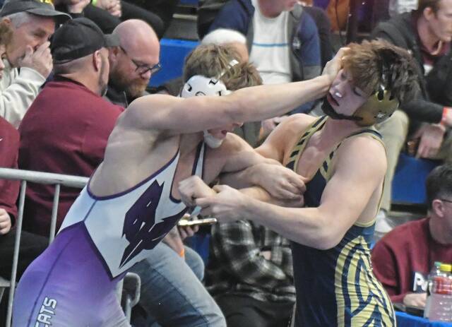 Franklin Regional boys stay atop WPIAL wrestling heap; girls team makes strides