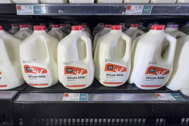 Why whole milk is back, and what a local dietitian says