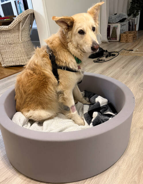 Slide 
													
													2