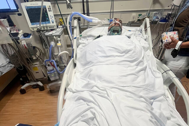 Slide 
													
													3