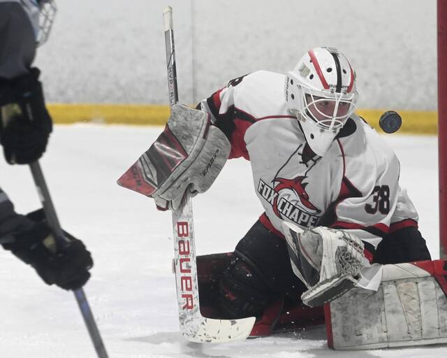 Fox Chapel Herald notebook: Goalie stands tall in Fox Chapel loss