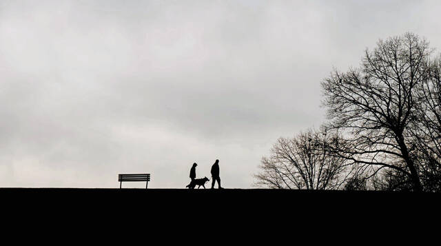 Slide 
													
													2