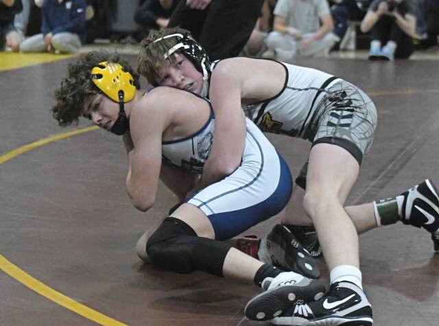 Slide 
													
													15