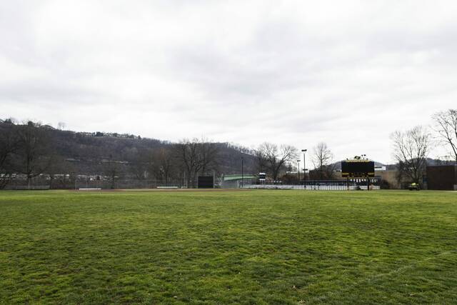 Slide 
													
													3