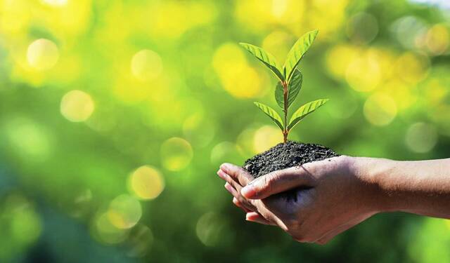 The Stroller, Jan. 12, 2026: Events in the Alle-Kiski Valley