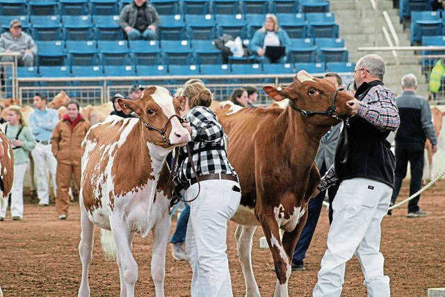 State agriculture industry gears up for 110th Pennsylvania Farm Show in Harrisburg