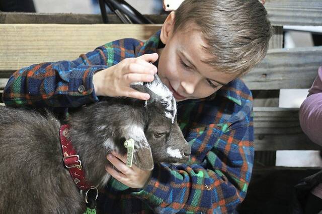 Slide 
													
													5