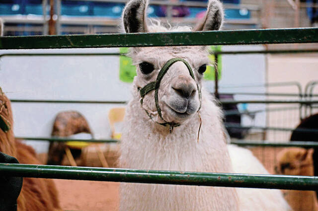 Slide 
													
													4