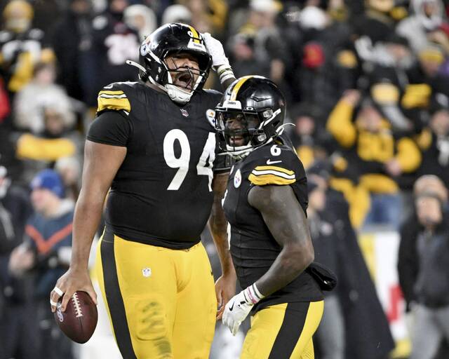 Slide 
													
													11