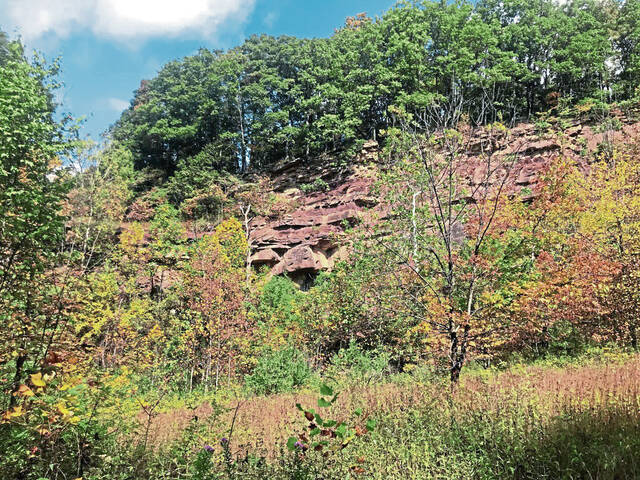 Slide 
													
													2