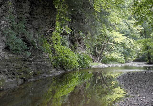Portion of walking trail closed at O’Hara Community Park