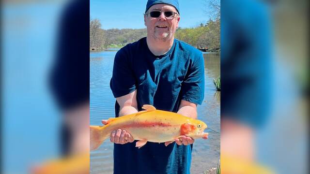 Police say Bradenville taxidermist accepted animals, payment but never completed work