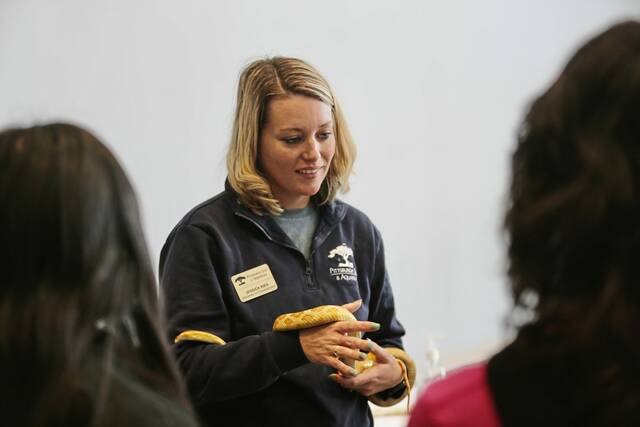 Slide 
													
													2