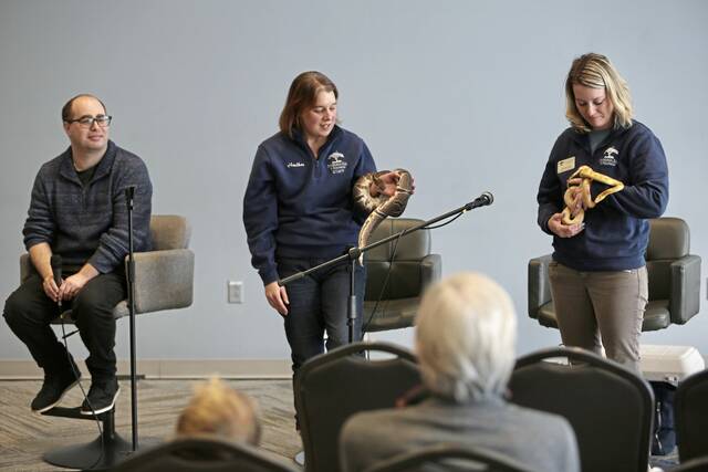 Slide 
													
													4