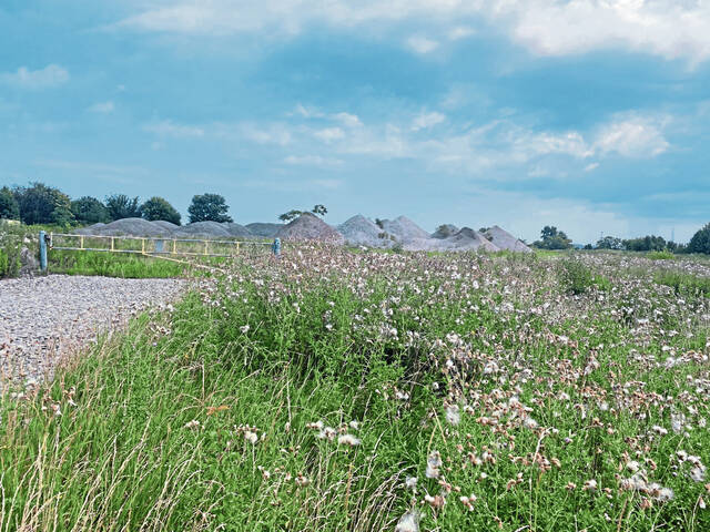 Editorial: Economic development can’t be built on ifs and maybes