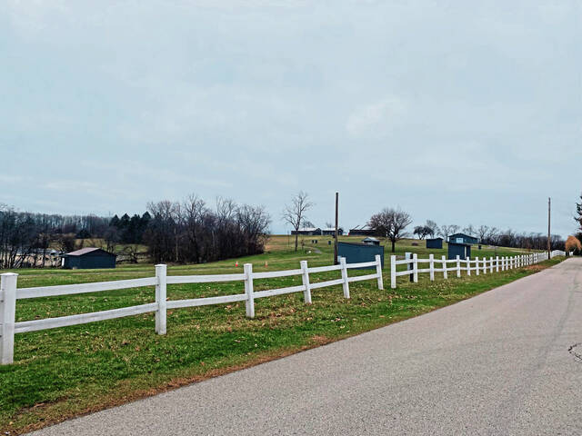 Slide 
													
													2