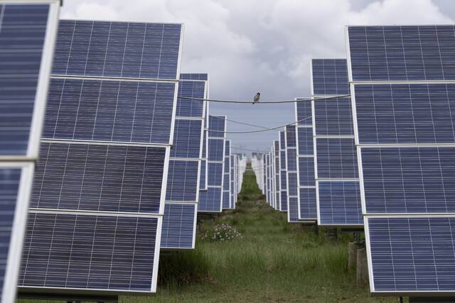 Norwin area: Irwin appointments, bingo, solar energy meeting, more