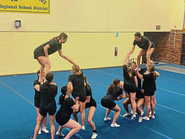 Murrysville area: Cheerleadering youth clinic, comedy night, upcoming meetings, more