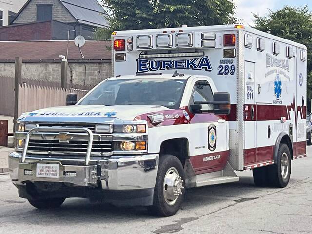 Laurels & lances: Animals & ambulances