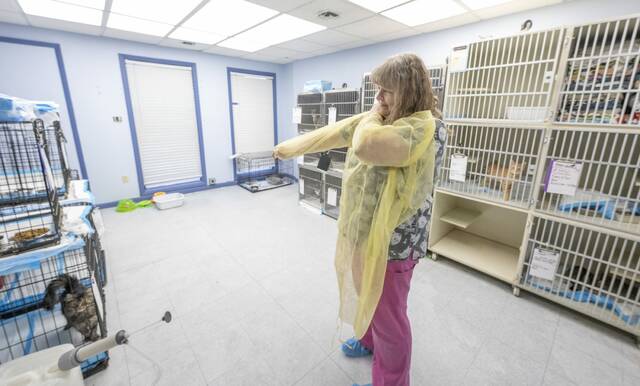 Slide 
													
													3