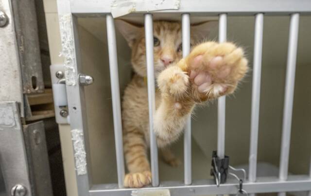 Slide 
													
													2