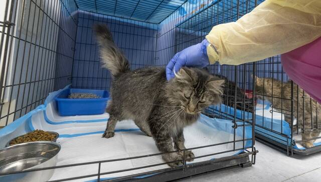 Slide 
													
													4