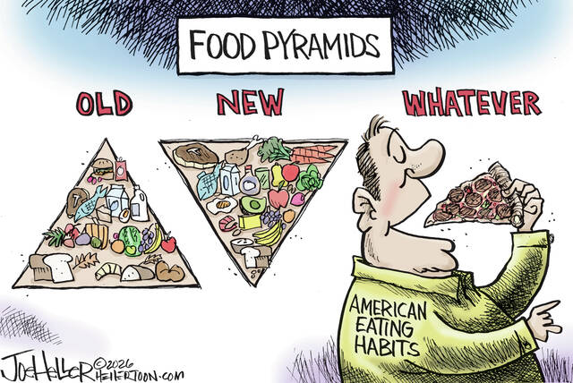 Slide 
													
													2