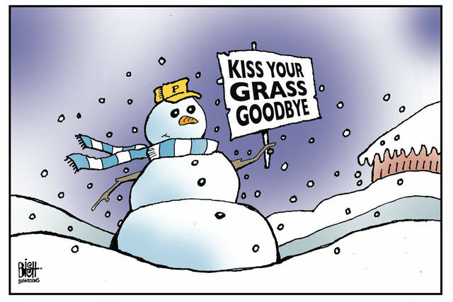 Slide 
													
													4