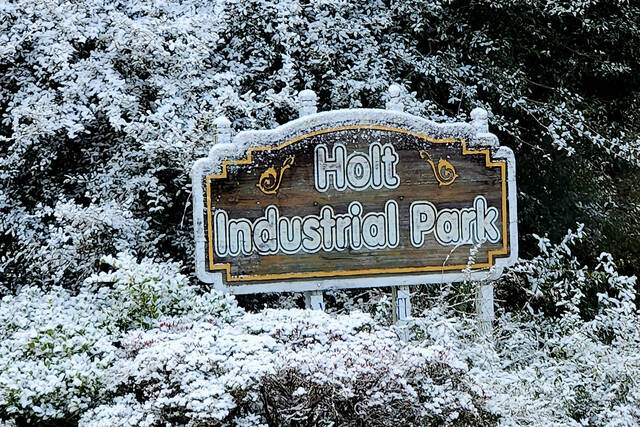 Small part of Sunshine State becomes Snowy State as Florida gets snow for 2nd year in a row