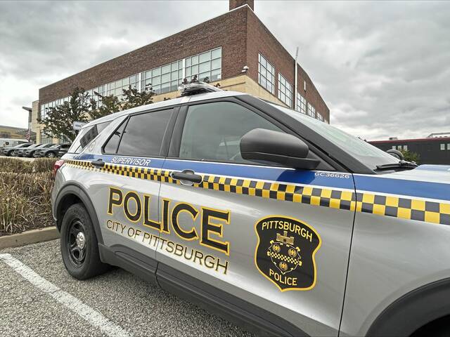 Pittsburgh police use Taser on man after domestic call