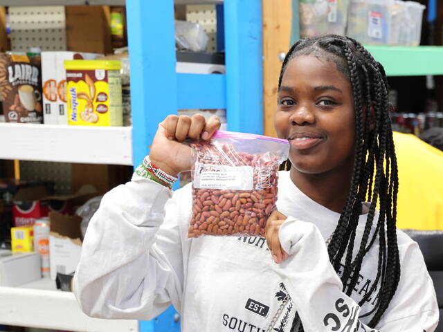 Youngsters learn while helping others at MLK Day event in Bethel Park