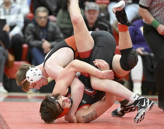 Bethel Park notebook: Wrestler captures county championship