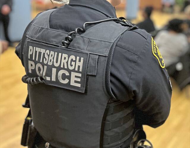 
			
				                                (Justin Vellucci | TribLive)

			
		