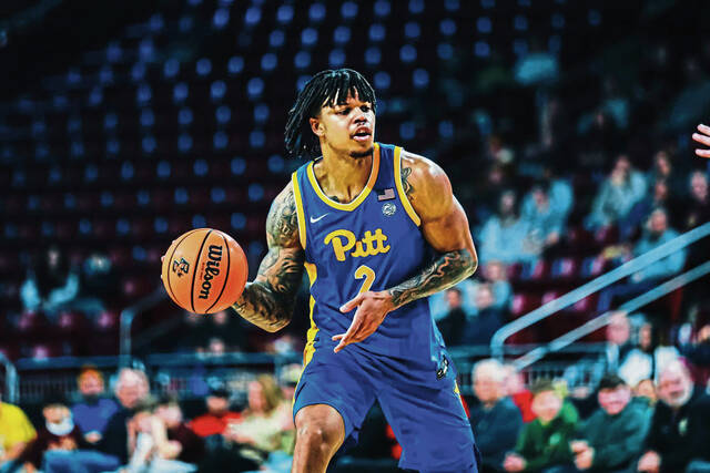 Slide 
													
													3