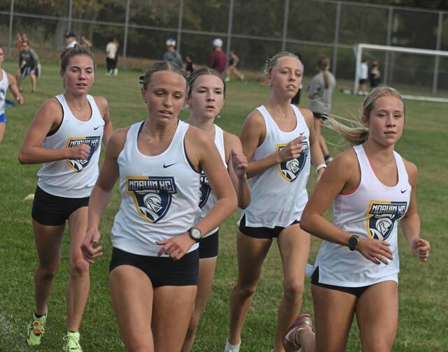 Westmoreland County high school notebook: Norwin cross country coach honored as state’s best