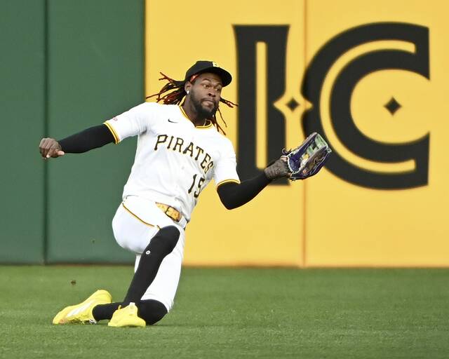 Slide 
													
													2