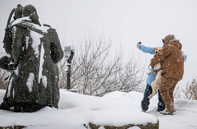 Slide 
													
													11