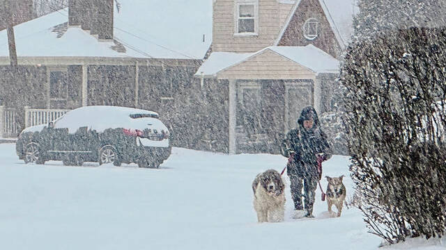 Slide 
													
													23