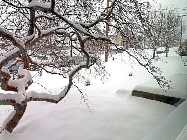 Slide 
													
													16