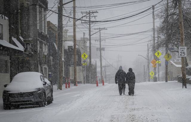 Slide 
													
													13