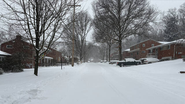 9234884_web1_ptr-foresthillssnow-1-012526