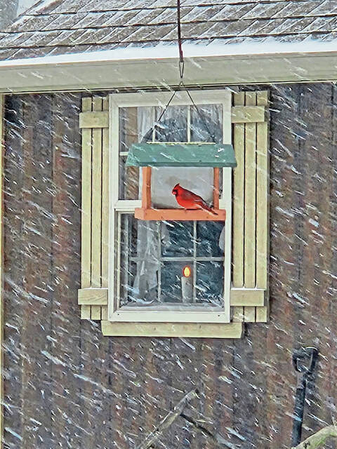 Slide 
													
													35