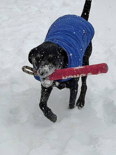 Slide 
													
													36