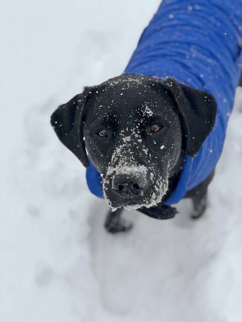 Slide 
													
													37