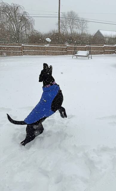 Slide 
													
													38