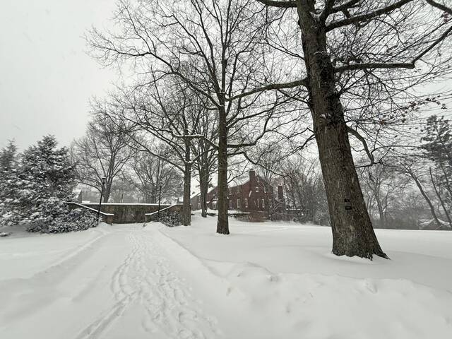 Slide 
													
													41