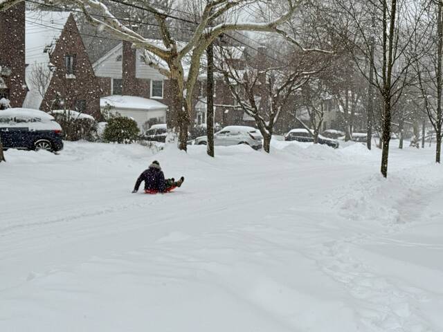 Photos of the day: Fresh snowfall blankets Western Pa.