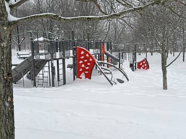 Slide 
													
													40