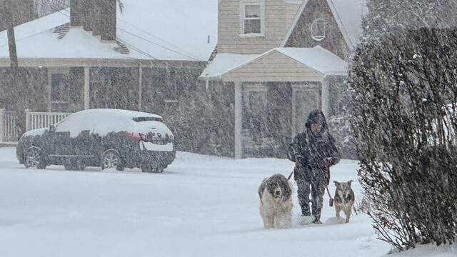 Slide 
													
													17