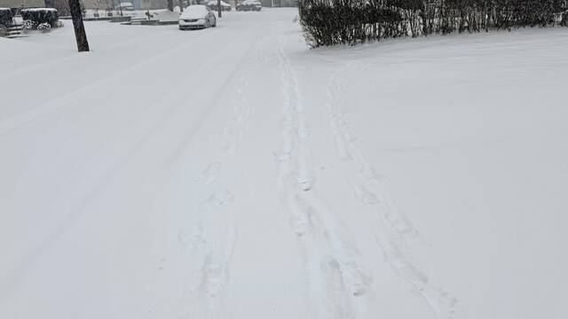 Slide 
													
													29